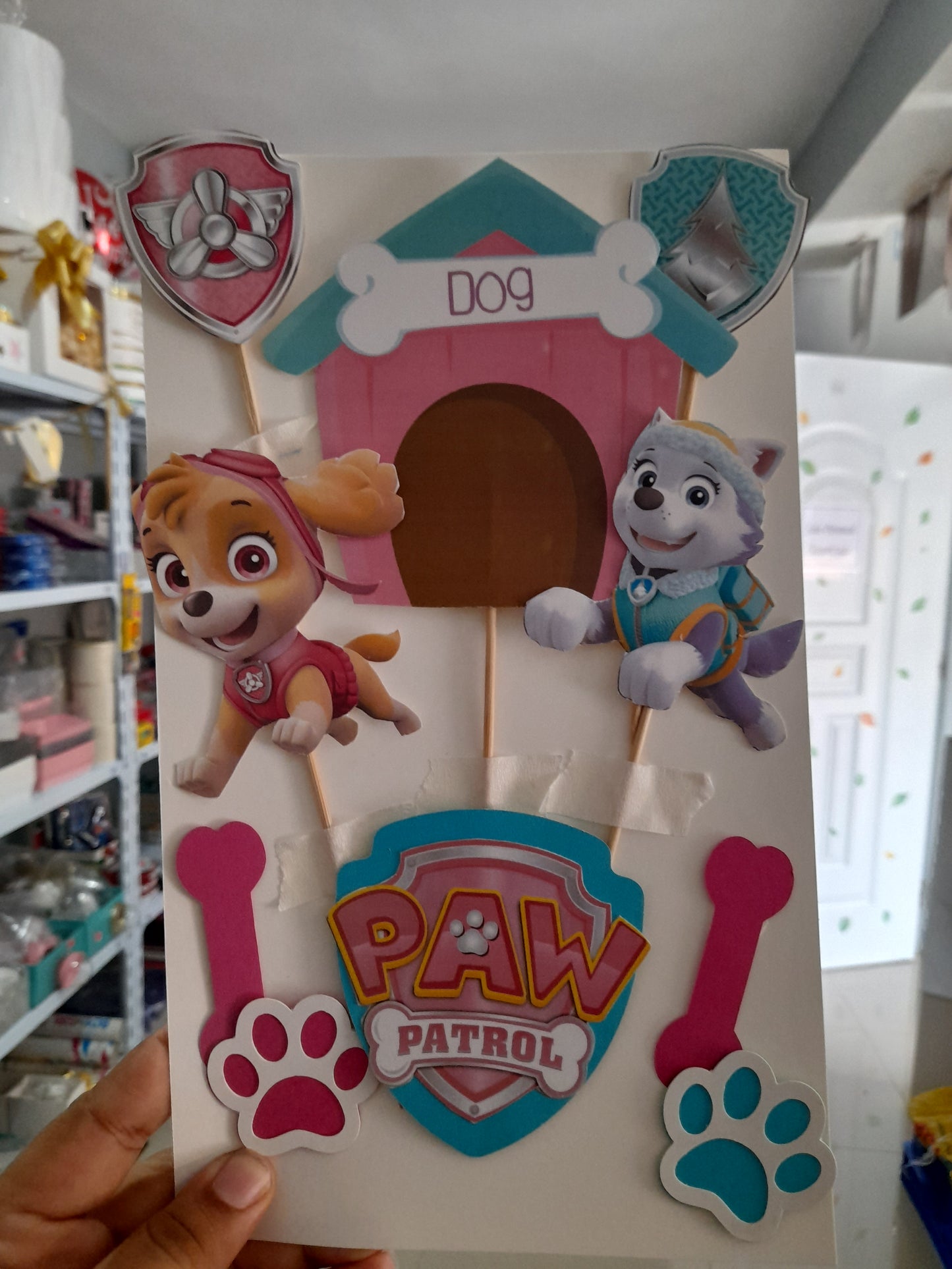 8.1.2.1 Paw patrol